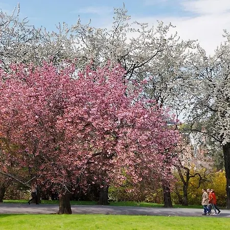 Vendégház ***upscale***city Center*